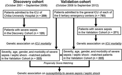 A Thrombomodulin Promoter Gene Polymorphism, rs2239562, Influences Both Susceptibility to and Outcome of Sepsis